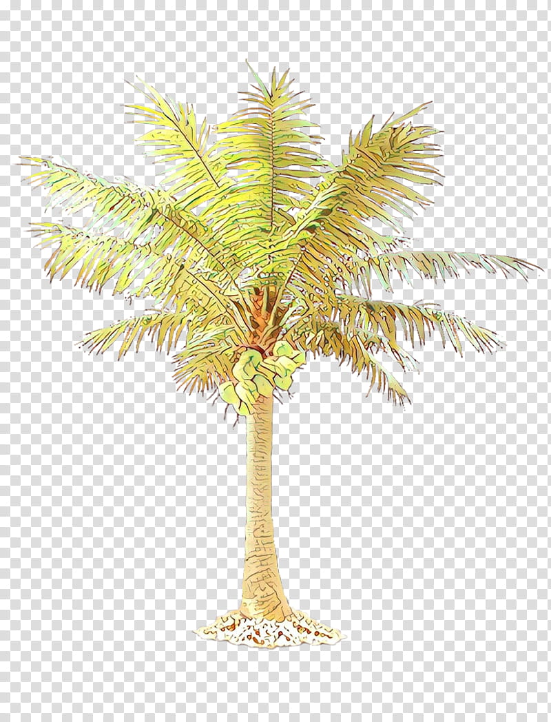 Coconut Tree, Palm Trees, California Palm, Mexican Fan Palm, Arecales, Fan Palms, Date Palm, Plant transparent background PNG clipart
