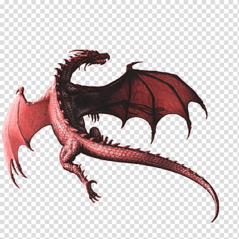 Painting, Dragon, Flying Red Dragon, Red Dragon Tshirt, Artist, Fantasy, Dragon Tales, Demon transparent background PNG clipart