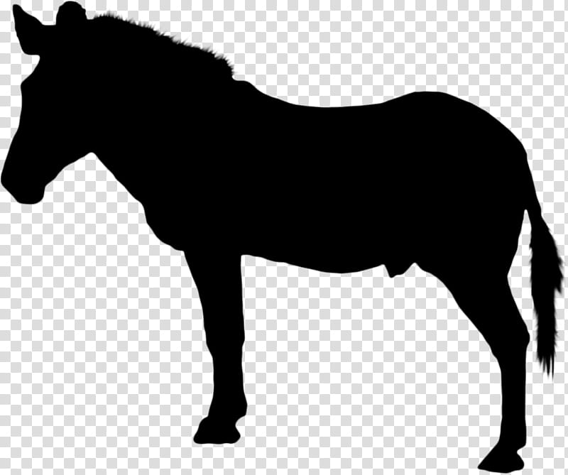 Horse, Horse Racing, Silhouette, Black, Drawing, Equestrian, Rearing, Wild Horse transparent background PNG clipart