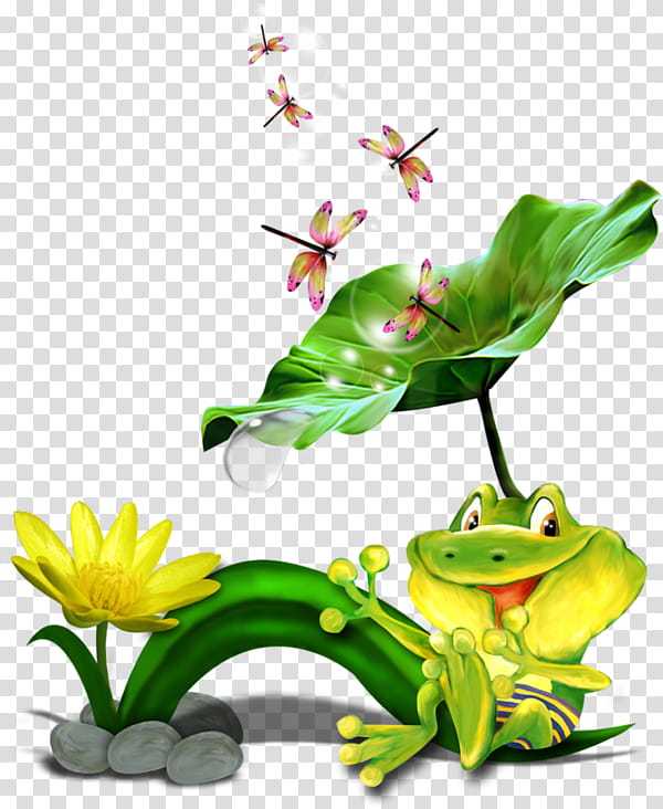Flower Painting, Tree Frog, True Frog, Edible Frog, Drawing, Grenouille Verte, Glass Frog, Toad transparent background PNG clipart