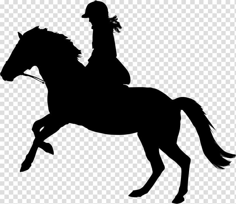 Horse, Mustang, English Riding, Equestrian, Silhouette, Portrait, Equestrianism, Animal Sports transparent background PNG clipart