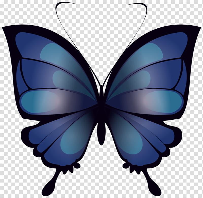 Mariposa Azul blue butterfly transparent background PNG clipart
