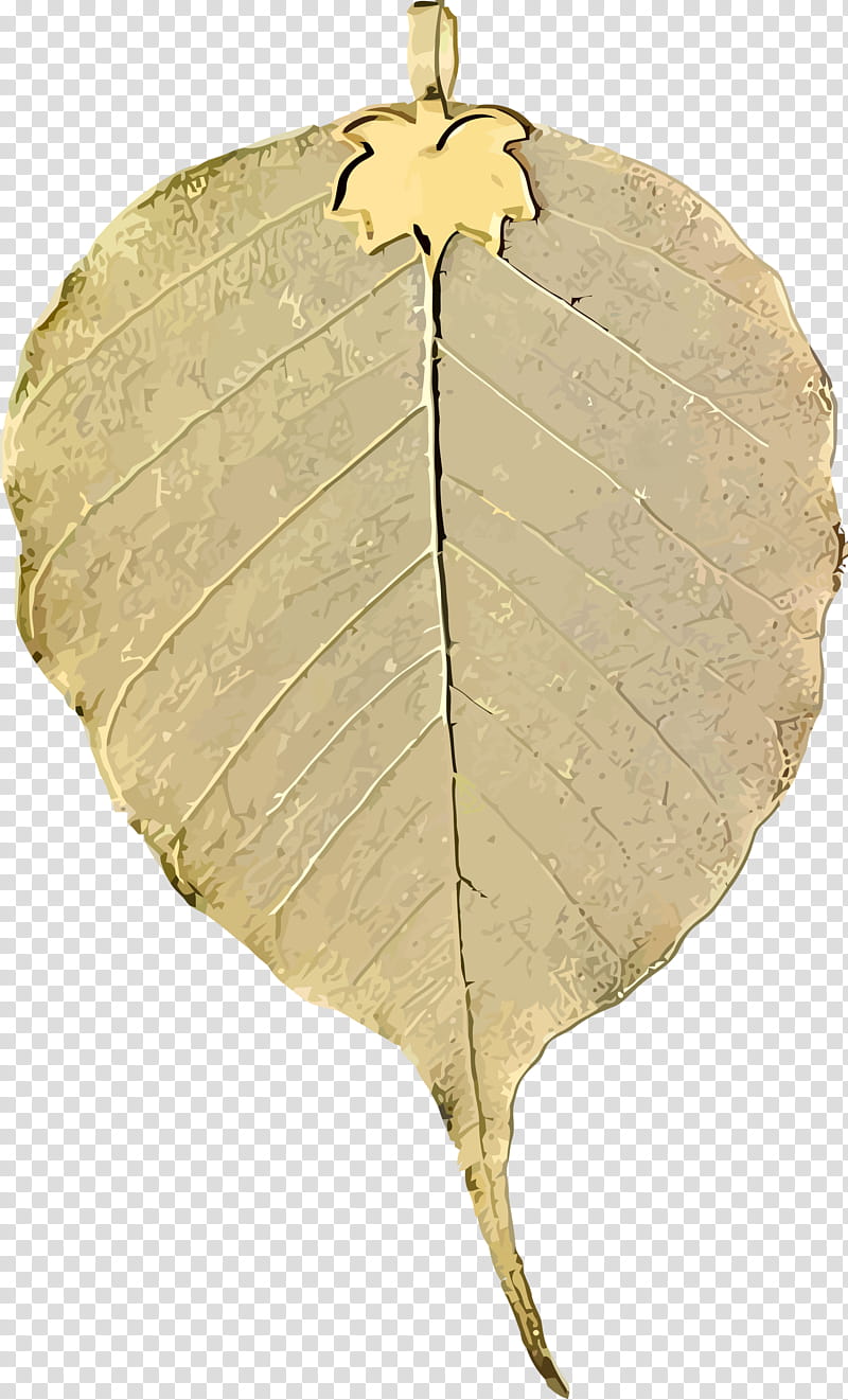 Bodhi Leaf Bodhi Day Bodhi, Plant, Tree, Plane, Deciduous, Match Poplar, Flower, Canoe Birch transparent background PNG clipart