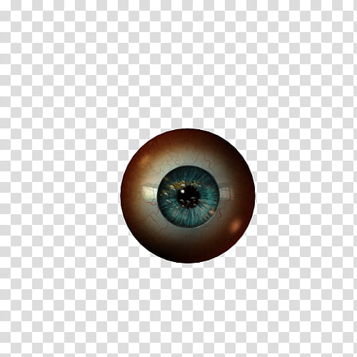 Texture Set  Eyeballs, brown and black eye transparent background PNG clipart
