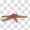 Spore creature Dalmatian Linckia  transparent background PNG clipart