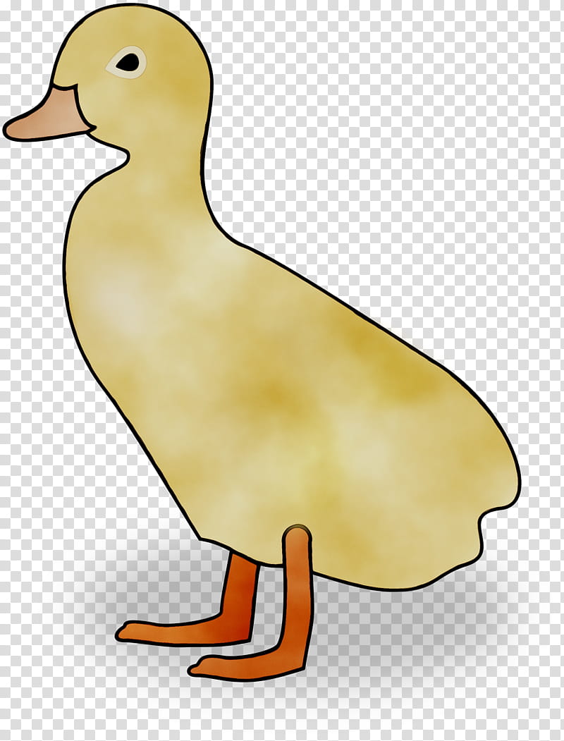 Cartoon Baby Bird, Mallard, Duck, Goose, Chicken, Fowl, Beak, Poultry transparent background PNG clipart