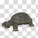 Spore creature Marginated tortoise , brown turtle transparent background PNG clipart