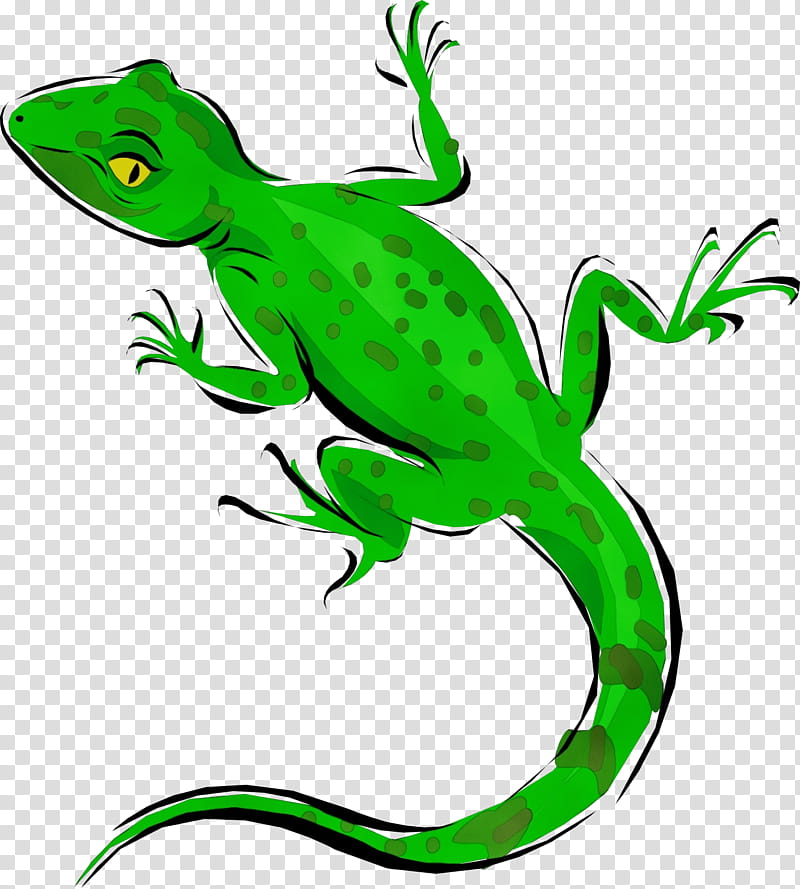 lizard green reptile european green lizard, Watercolor, Paint, Wet Ink, Gecko, Wall Lizard, Scaled Reptile, Tail transparent background PNG clipart