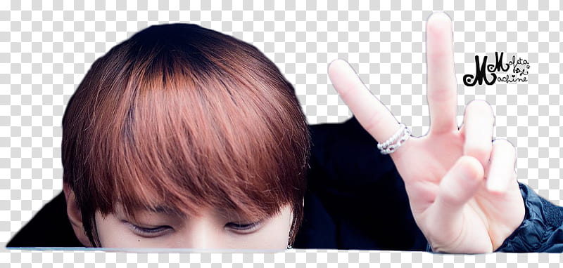 Vixx Leo Dispatch , LDByJeliwood transparent background PNG clipart