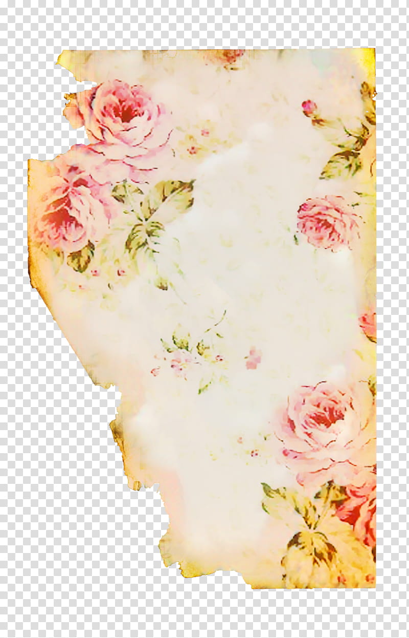 Pink Flower, Garden Roses, Cut Flowers, Floral Design, Flower Bouquet, Still Life , Petal, Frames transparent background PNG clipart