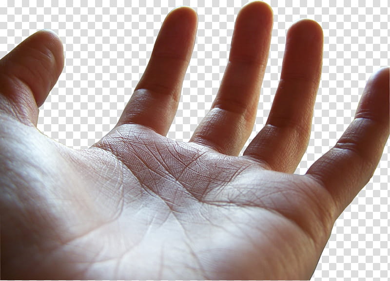 open palm female hand, left human palm transparent background PNG clipart