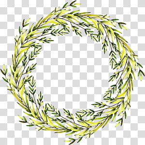 Christmas decoration, Oregon Pine, Shortleaf Black Spruce, White Pine, Colorado Spruce, Red Juniper, Plant, American Larch transparent background PNG clipart thumbnail