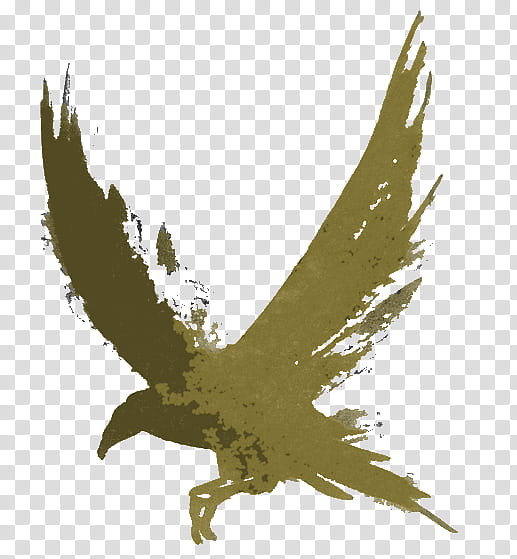 golden eagle bird eagle wing kite, Bird Of Prey, Osprey, Plant transparent background PNG clipart