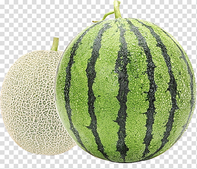 Watermelon, Cucumber Gourd And Melon Family, Muskmelon, Galia, Fruit, Plant, Cantaloupe, Citrullus transparent background PNG clipart