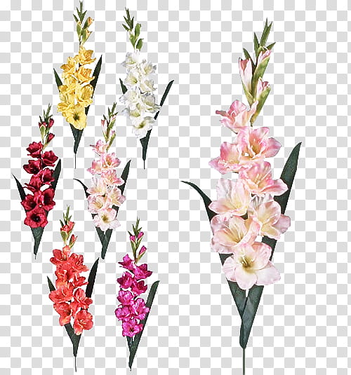 Artificial flower, Flowering Plant, Cut Flowers, Gladiolus, Pink, Ixia, Pedicel, Iris Family transparent background PNG clipart