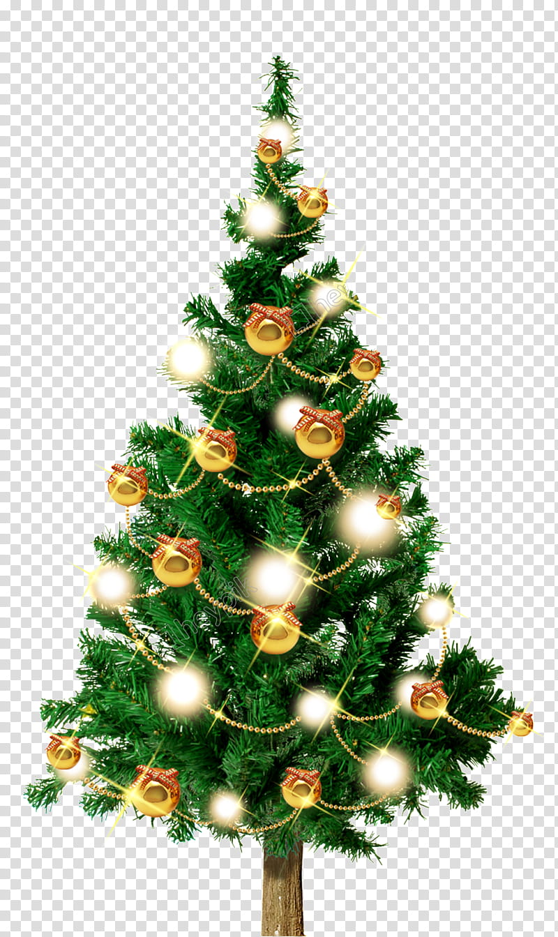 Christmas And New Year, Christmas Tree, Fir, Santa Claus, Christmas Day ...