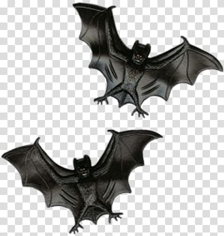 Halloween, black bats transparent background PNG clipart