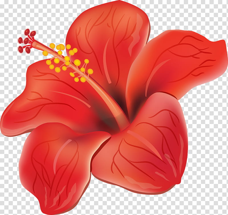 Tropical, red petaled flower transparent background PNG clipart