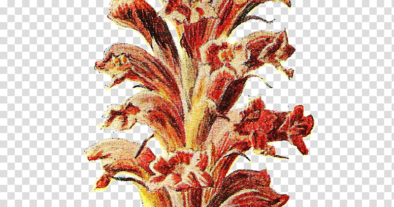 Flowers, Familiar Wild Flowers, Plant Stem, Wildflower, Drawing, Broomrapes, Flora, Hyoscyamus Niger, Willowherbs transparent background PNG clipart