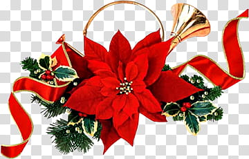 Christmas Ornaments s, red poinsettia flower art transparent background PNG clipart