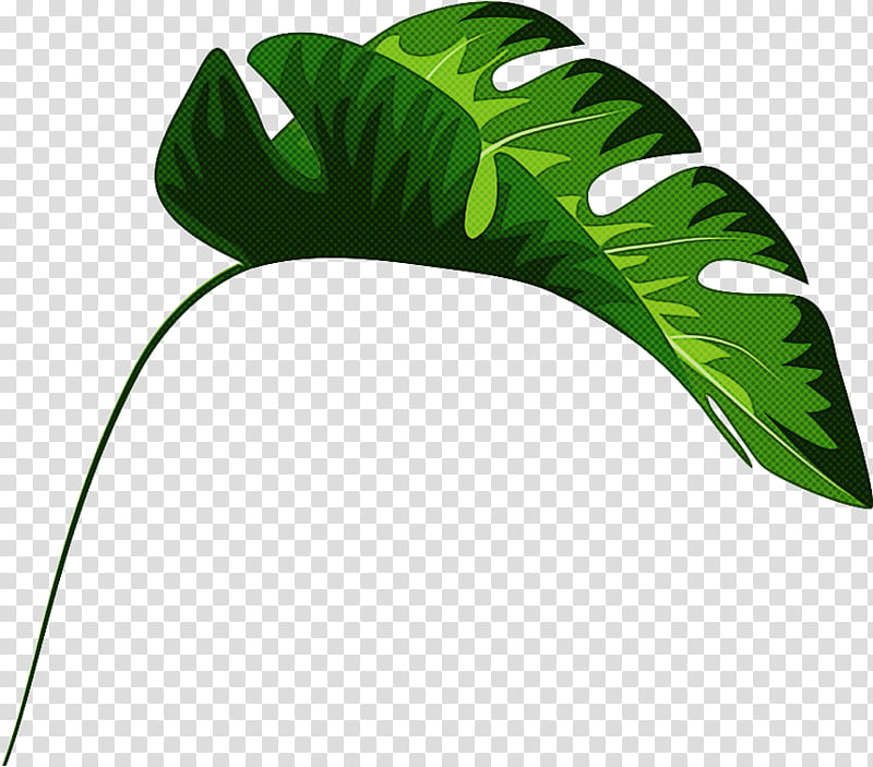 Pastel Palm September black iPhone, 2019, Theme, Computer Monitors, Mobile Phones, Leaf, Green, Monstera Deliciosa transparent background PNG clipart