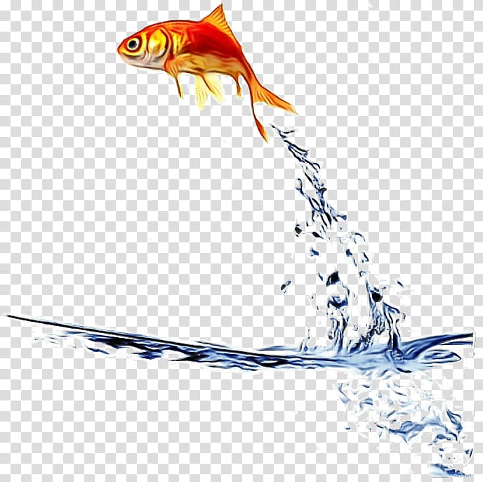 fish fish goldfish bony-fish, Watercolor, Paint, Wet Ink, Bonyfish transparent background PNG clipart