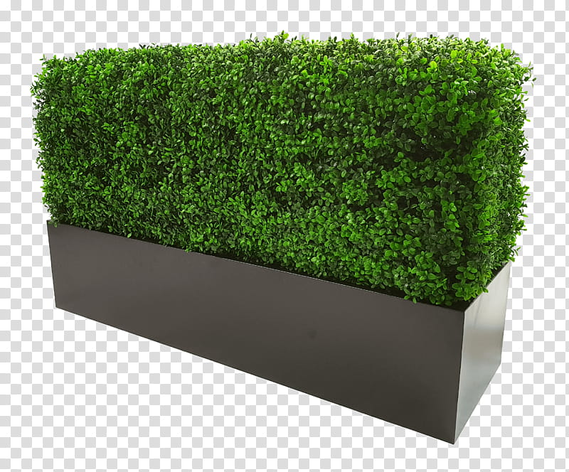 Green Grass, Hedge, Topiary, Box, Shrub, Flowerpot, Plants, Grasses transparent background PNG clipart