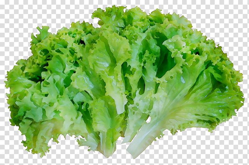 Vegetables, Broccoli, Vegetarian Cuisine, Food, Lettuce, Spinach, Red Leaf Lettuce, Spring Greens transparent background PNG clipart