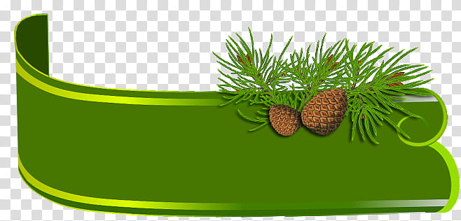 Christmas stickers, green pine leaves and brown pine cones transparent background PNG clipart
