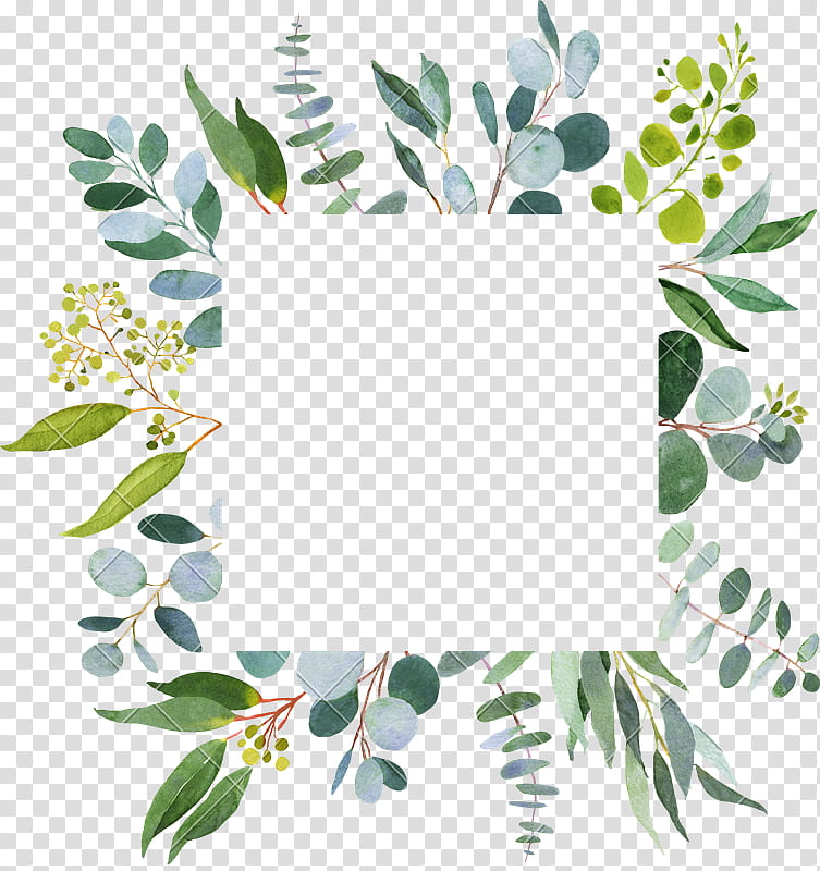 Watercolor Wreath, Wedding, Watercolor Painting, Flower, Green Wedding, Leaf, Plant, Branch transparent background PNG clipart