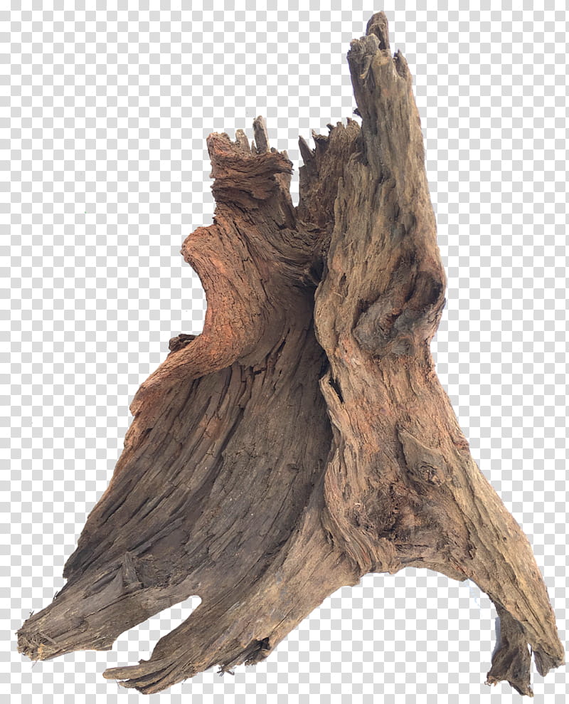 Tree Stump, Driftwood, Trunk, Painting, Wood Carving, Palette, Sculpture, Aquarium Decor transparent background PNG clipart