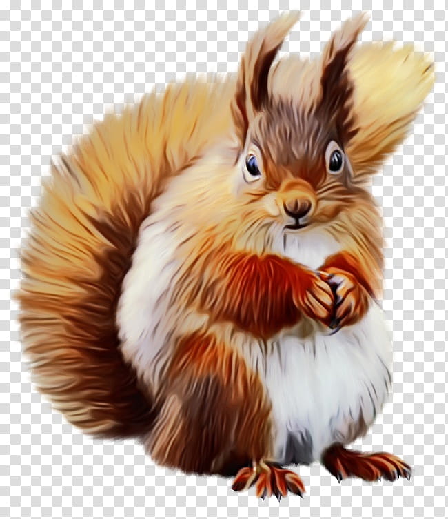 Squirrel, Watercolor, Paint, Wet Ink, Whiskers, Snout, Fur, Rabbit transparent background PNG clipart