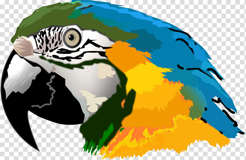 Bird Parrot, Macaw, Blueandyellow Macaw, Hyacinth Macaw, Drawing, Parrots, Beak, Parakeet transparent background PNG clipart