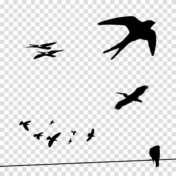 , flock of birds silhouette illustration transparent background PNG clipart