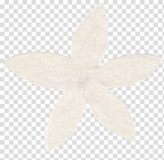 Textures brushes and s, white flower art transparent background PNG clipart