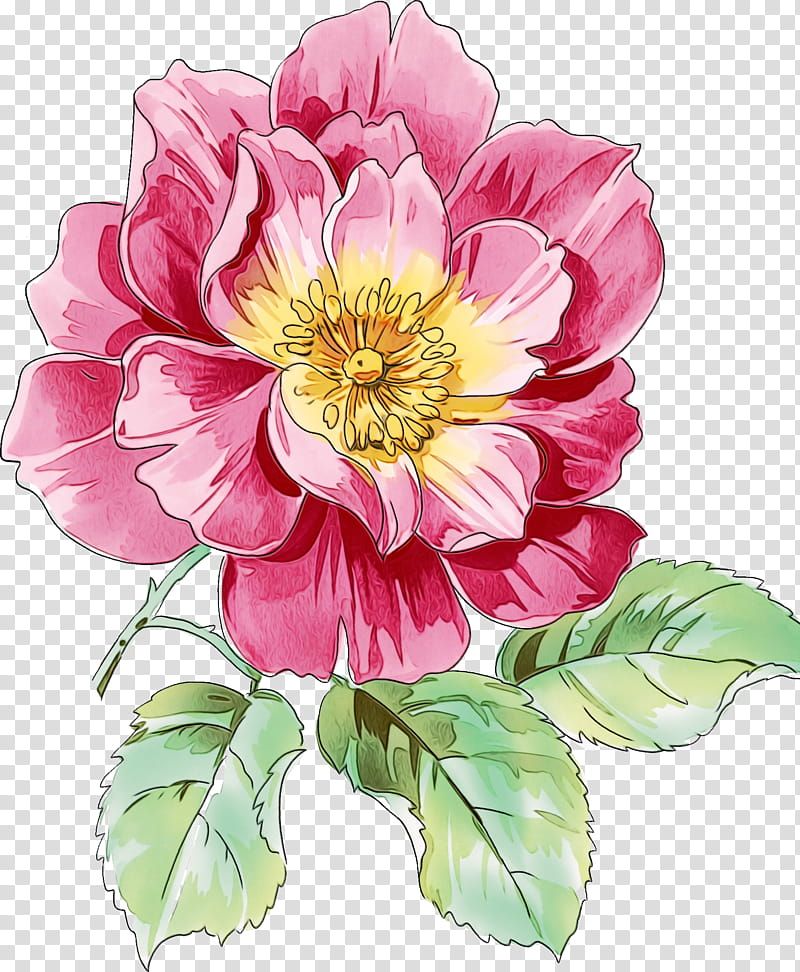 Floral design, Watercolor, Paint, Wet Ink, Flower, Peony, Rose, Watercolor Painting transparent background PNG clipart