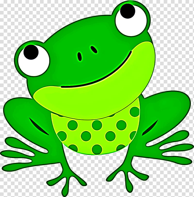 green frog true frog agalychnis gray treefrog, Hyla, Tree Frog, Cartoon transparent background PNG clipart