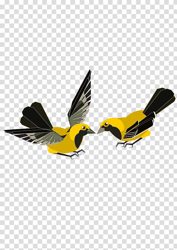 Bird Silhouette, Finches, Flight, Beak, Yellow, Wing, Feather transparent background PNG clipart