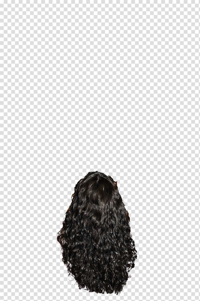 Hair Hair and more Hair , women's black hairstyle transparent background PNG clipart