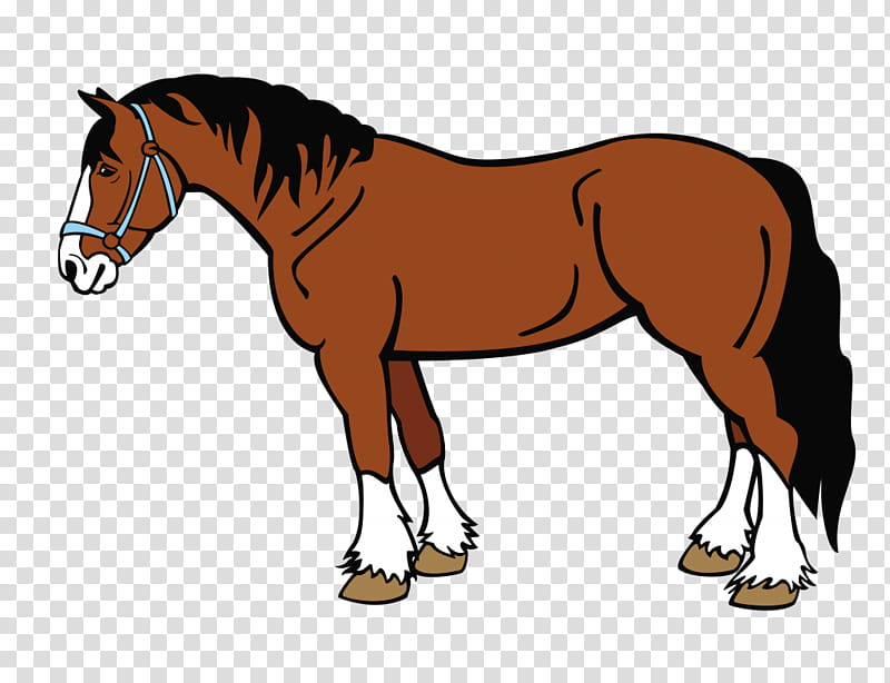 Horse, Cattle, Live, Domestic Animal, Farm, Mane, Sorrel, Animal Figure transparent background PNG clipart