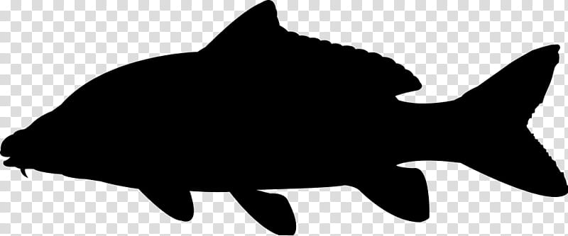 graphy Logo, Silhouette, Carp, Portrait, Fishing, Fin, Tail, Blackandwhite transparent background PNG clipart