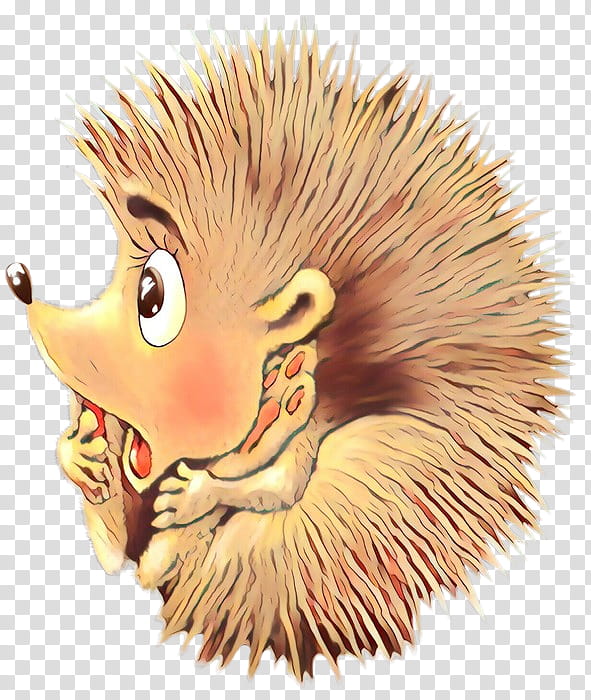 hedgehog porcupine erinaceidae cartoon new world porcupine, Nose, Echidna, Snout transparent background PNG clipart