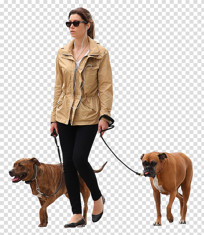 Group Of People, Dog, Dog Walking, Cat People And Dog People, Architectural Rendering, Pet, Pet Sitting, Human transparent background PNG clipart
