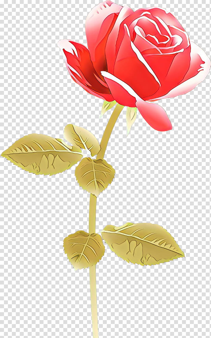 Garden roses, Cartoon, Flower, Red, Petal, Cut Flowers, Rose Family, Plant transparent background PNG clipart