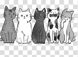 s, assorted cats sticker transparent background PNG clipart