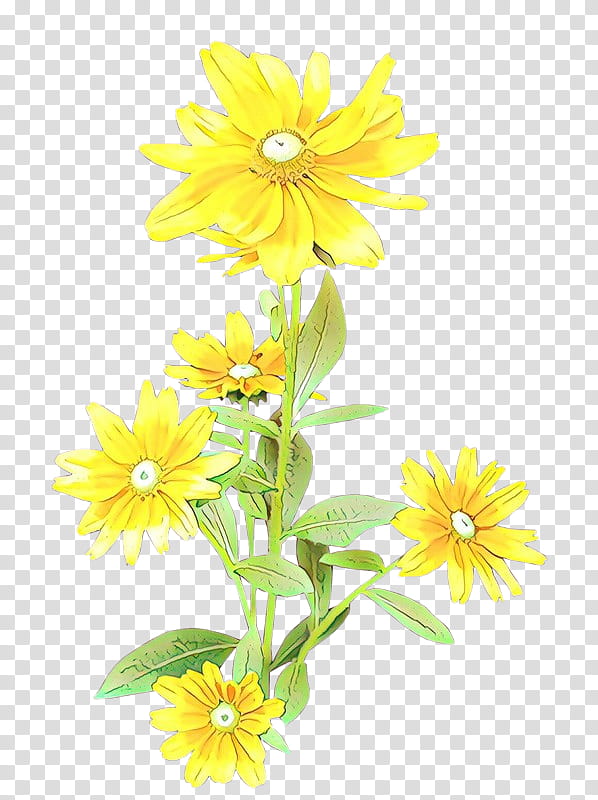 sunflower, Cartoon, Yellow, Plant, Jerusalem Artichoke, Euryops Pectinatus, Petal, Chamomile transparent background PNG clipart