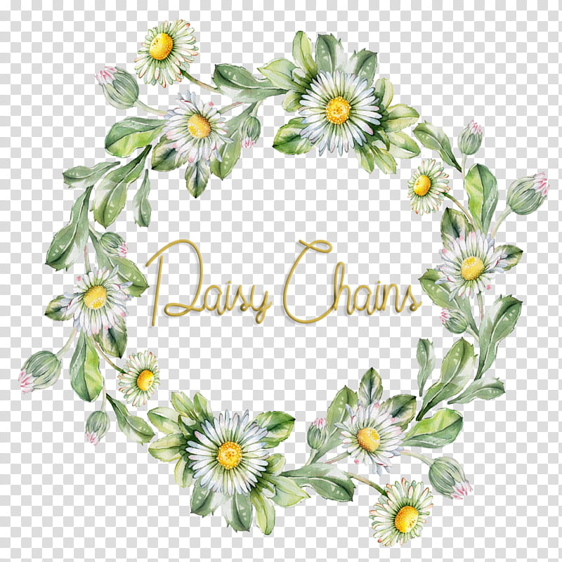 Flowers, Wine, Floral Design, Grape, Mayweed, Chamomile, Camomile, Plant transparent background PNG clipart