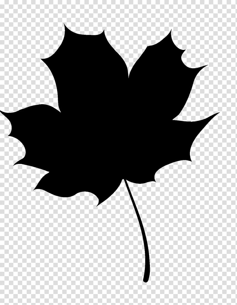 Woody Silhouette, Drawing, Leaf, Business Silhouettes, Maple, Maple Leaf, Tree, Blackandwhite transparent background PNG clipart