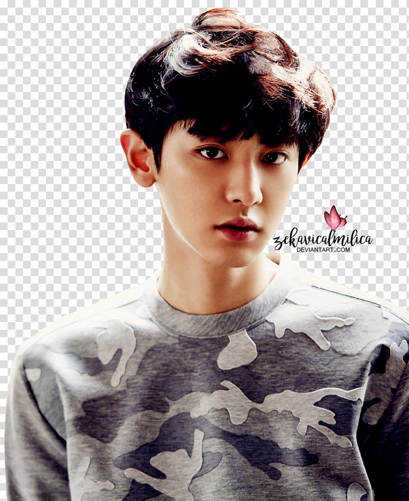 EXO Chanyeol  Season Greetings, man wearing gray and black camouflage crew-neck transparent background PNG clipart