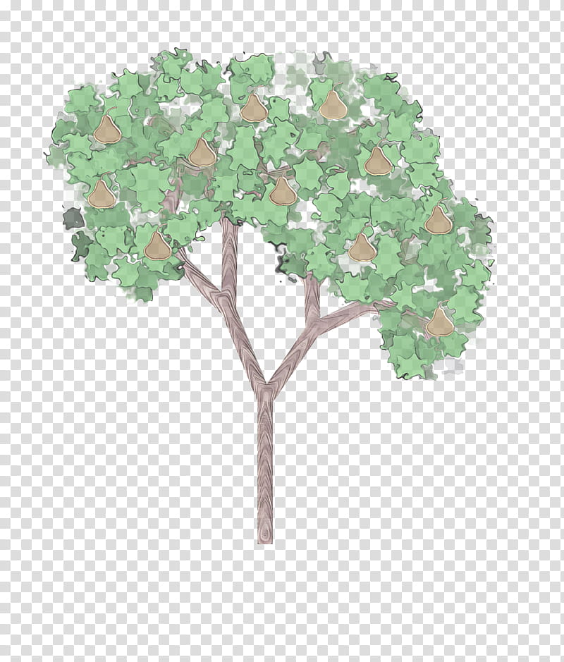 plant tree flower leaf woody plant, Flowering Plant, Hydrangea, Plant Stem, Hydrangeaceae transparent background PNG clipart